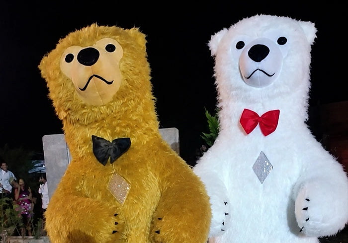 Bear Character