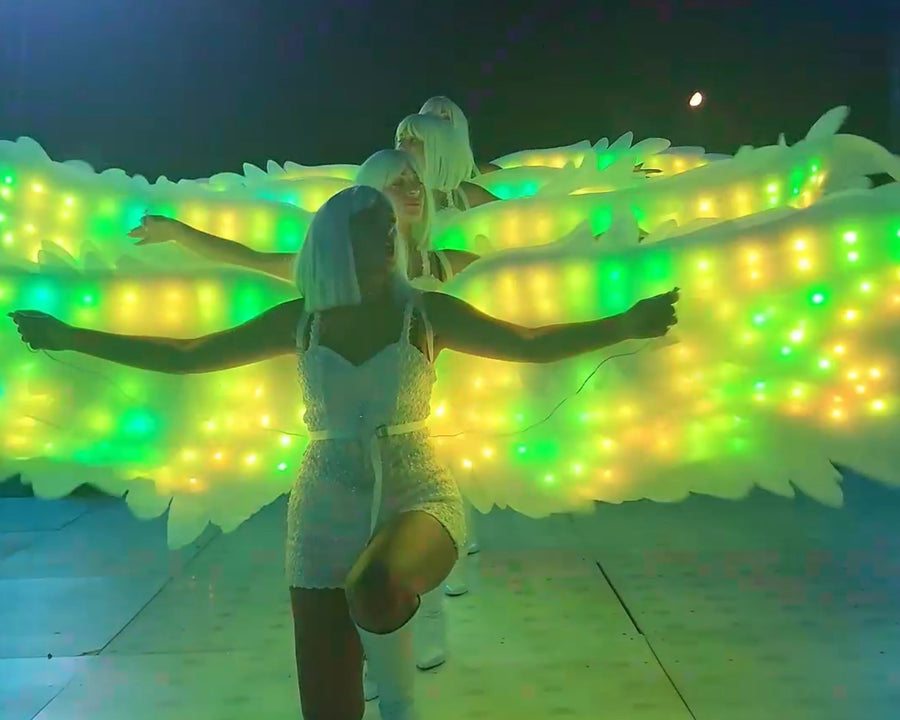 Eagle LED Show
